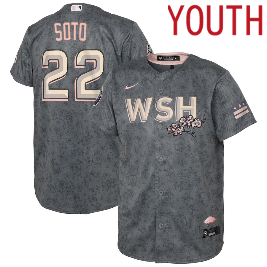 Custom Youth Washington Nationals #22 Juan Soto Nike Gray 2022 City Connect Replica Player MLB Jersey